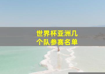 世界杯亚洲几个队参赛名单