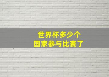 世界杯多少个国家参与比赛了