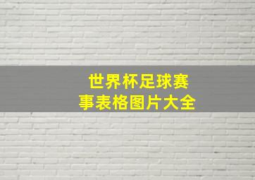 世界杯足球赛事表格图片大全