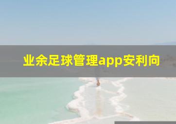 业余足球管理app安利向