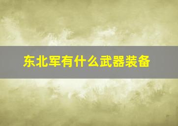 东北军有什么武器装备