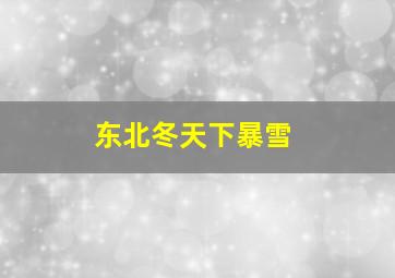 东北冬天下暴雪