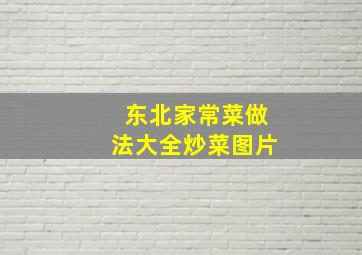 东北家常菜做法大全炒菜图片