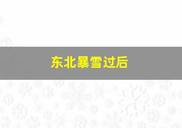 东北暴雪过后