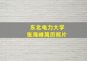 东北电力大学张海峰简历照片