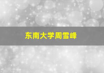 东南大学周雪峰