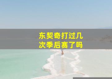 东契奇打过几次季后赛了吗