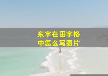 东字在田字格中怎么写图片