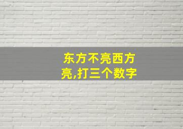 东方不亮西方亮,打三个数字