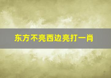 东方不亮西边亮打一肖