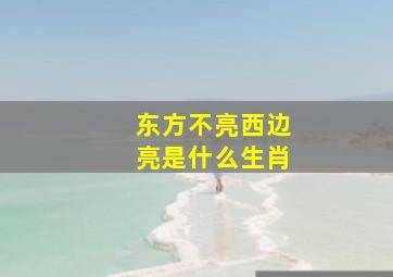 东方不亮西边亮是什么生肖