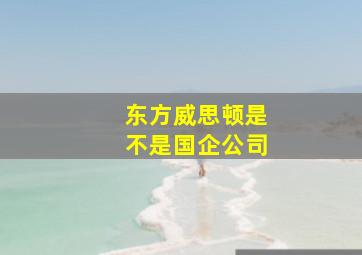 东方威思顿是不是国企公司