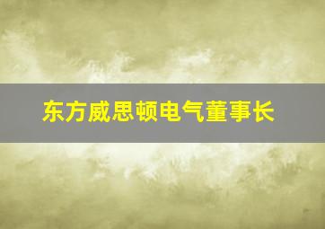 东方威思顿电气董事长