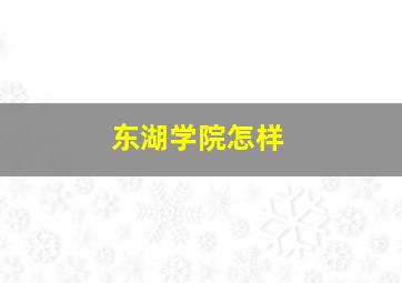 东湖学院怎样