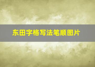 东田字格写法笔顺图片