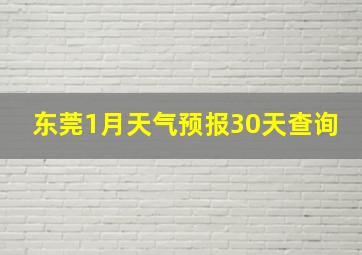 东莞1月天气预报30天查询