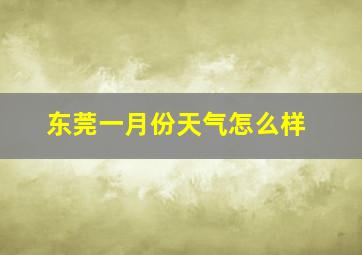 东莞一月份天气怎么样