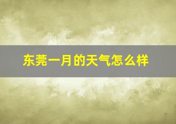 东莞一月的天气怎么样