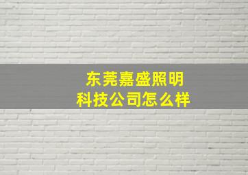 东莞嘉盛照明科技公司怎么样