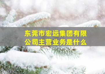 东莞市宏远集团有限公司主营业务是什么