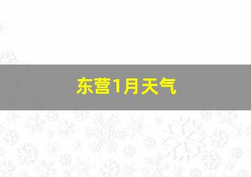 东营1月天气