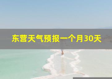 东营天气预报一个月30天