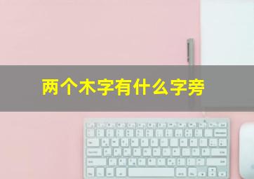 两个木字有什么字旁