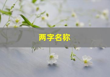 两字名称