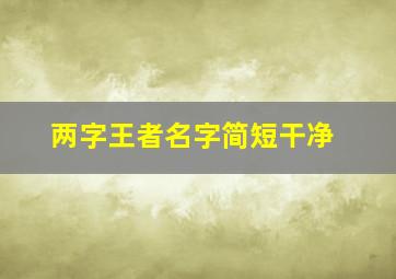 两字王者名字简短干净