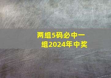 两组5码必中一组2024年中奖