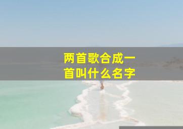 两首歌合成一首叫什么名字