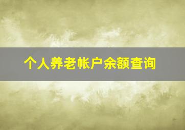 个人养老帐户余额查询