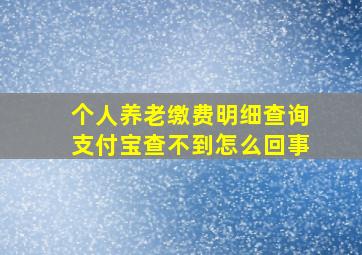 个人养老缴费明细查询支付宝查不到怎么回事