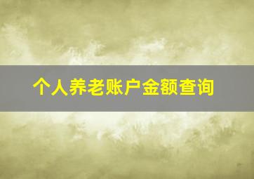 个人养老账户金额查询