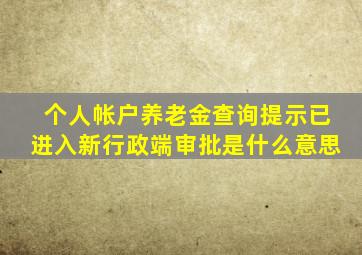 个人帐户养老金查询提示已进入新行政端审批是什么意思