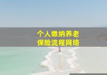 个人缴纳养老保险流程网络