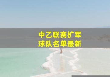 中乙联赛扩军球队名单最新