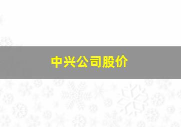 中兴公司股价