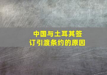 中国与土耳其签订引渡条约的原因