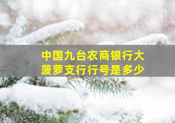 中国九台农商银行大菠萝支行行号是多少