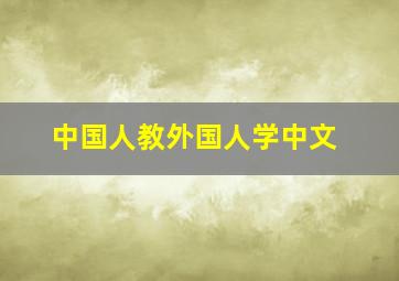 中国人教外国人学中文