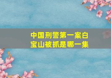 中国刑警第一案白宝山被抓是哪一集