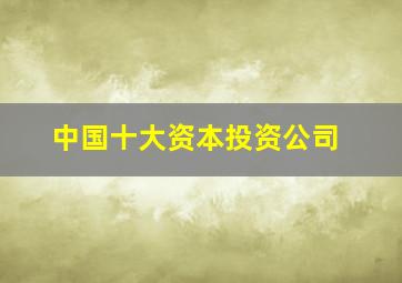 中国十大资本投资公司