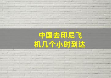 中国去印尼飞机几个小时到达