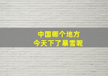 中国哪个地方今天下了暴雪呢