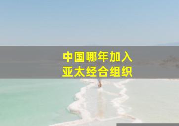 中国哪年加入亚太经合组织