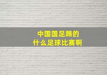 中国国足踢的什么足球比赛啊