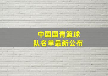 中国国青篮球队名单最新公布