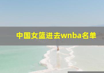 中国女篮进去wnba名单