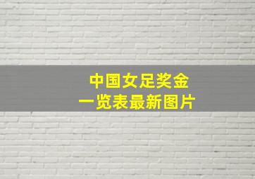 中国女足奖金一览表最新图片